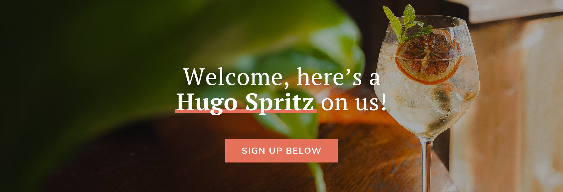 Sign up to the newsletter at The Commercial
